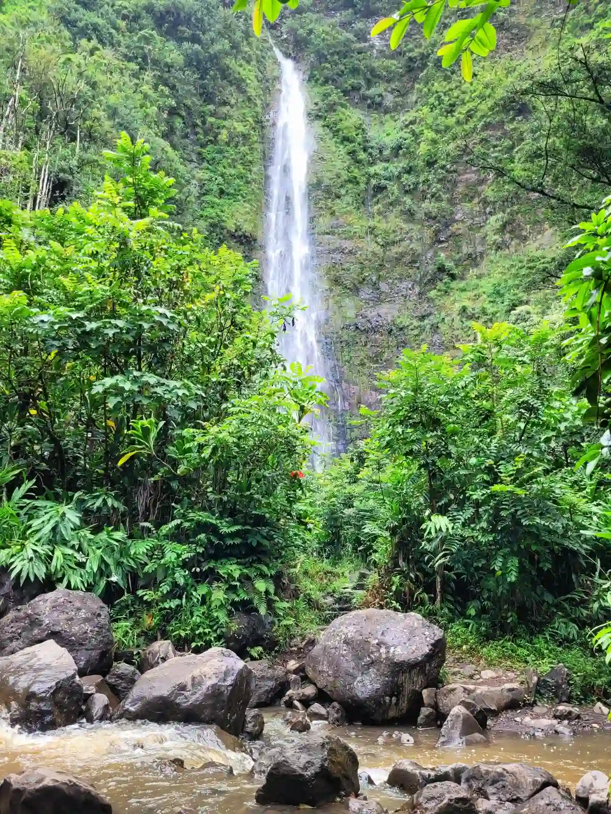 Avec ses cascades magiques